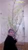 Prezerať img_20160318_101022_t1.jpg