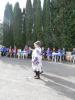 Prezerať pa090150_t1_1.jpg