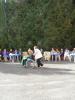 Prezerať pa090165_t1.jpg